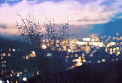 輕鋼別墅: 遠離城市喧囂，獨享一方寧靜