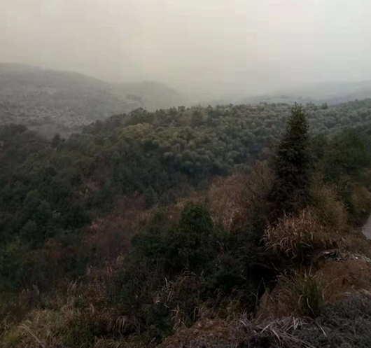 有故鄉(xiāng)者擁有幸福 ，你在他鄉(xiāng)還好嗎？(圖2)