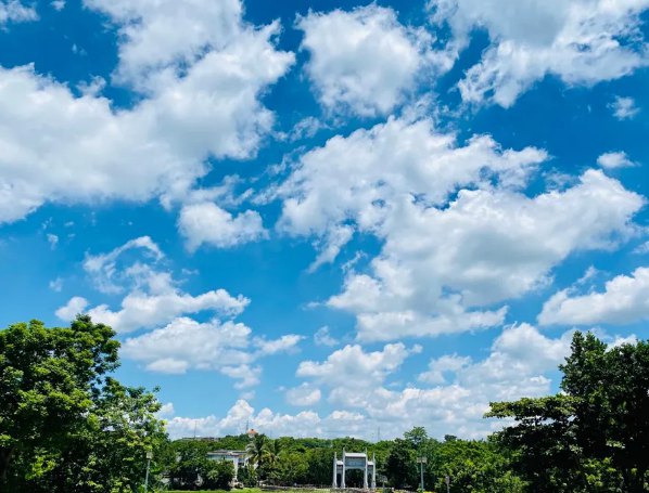 海南：放寬社會(huì)資本進(jìn)入農(nóng)村的限制！中國大農(nóng)場(chǎng)時(shí)代來臨？(圖1)