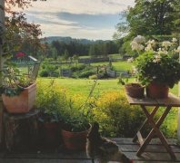 我能想到最浪漫的事情，就是和你回歸田園生活，一起變老！