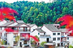 2021年杭州計劃新開工裝配式農房4.3萬㎡，大約完成6000戶的農房建設！